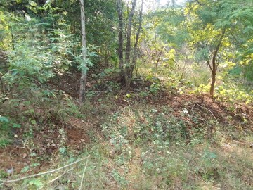 Plot Area in  Plot at Mandangad – for Sale