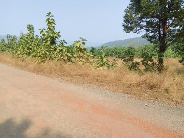  Plot – Exterior View View at Mandangad - for Sale