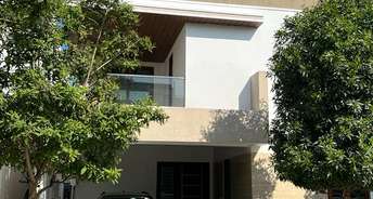 4 BHK Villa For Rent in Kannamangala Bangalore 6139075