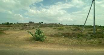 Commercial Land 645600 Sq.Ft. For Rent In Ranjangaon Pune 6139213