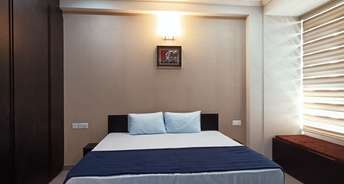 1 BHK Builder Floor For Rent in Dlf Phase ii Gurgaon 6139319