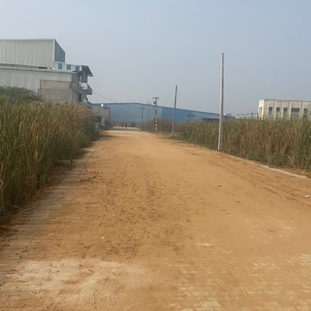Commercial Industrial Plot 1210 Sq.Yd. For Resale In Sampla Rohtak 6134222