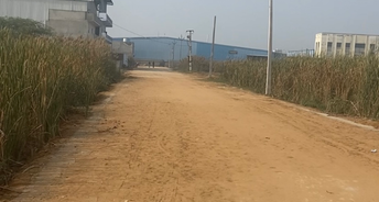 Commercial Industrial Plot 1210 Sq.Yd. For Resale In Sampla Rohtak 6134222