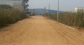 Commercial Industrial Plot 1291 Sq.Ft. For Resale In Nh 10 Bahadurgarh 6136990
