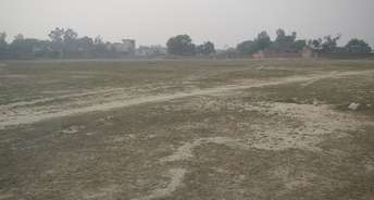  Plot For Resale in Sevai Lucknow 6139880