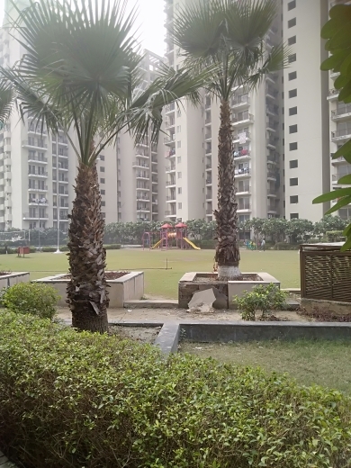 2 BHK Apartment For Resale in MGH Mulberry County Sector 70 Faridabad  6141282