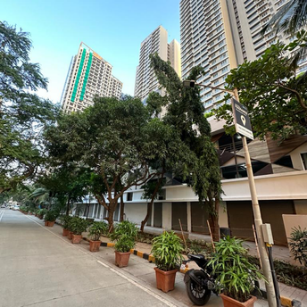 2 BHK Apartment For Resale in Kalpataru Radiance Goregaon West Mumbai  6141345