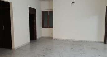 2 BHK Apartment For Rent in Ireo Victory Valley Sector 67 Gurgaon 6141401
