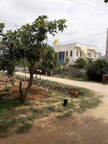 Plot For Resale in Kyathsandra Tumkur  6141752