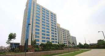 Commercial Office Space 3000 Sq.Ft. For Rent In Sector 50 Gurgaon 6142167