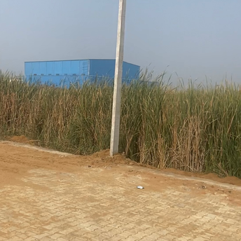 Commercial Industrial Plot 1412 Sq.Yd. For Resale in Sampla Rohtak  6142316