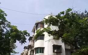 Studio Apartment For Rent in Vinod Villa Worli Worli Mumbai 6142831