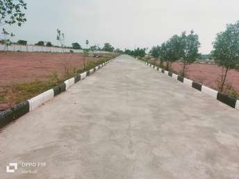 Plot For Resale in Nh65 Hyderabad 6142936