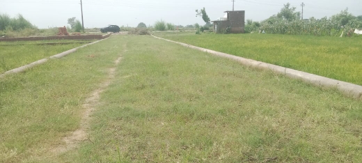 Plot For Resale in Sultanpur Road Lucknow  6143233