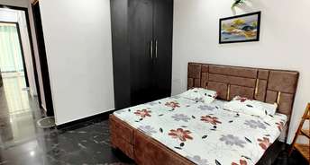 3 BHK Builder Floor For Rent in Sector 15 Gurgaon 6143241