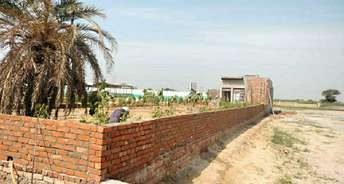  Plot For Resale in Salarpur Khadar Noida 6143484