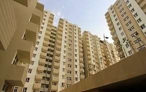 2 BHK Apartment For Rent in Tulip Lemon Sector 69 Gurgaon 6143963