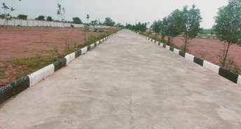  Plot For Resale in Nh65 Hyderabad 6146236