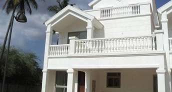 4 BHK Villa For Rent in House of Hiranandani Devanahalli Devanahalli Bangalore 6146377