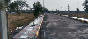 Plot For Resale in Narapally Hyderabad  6147200