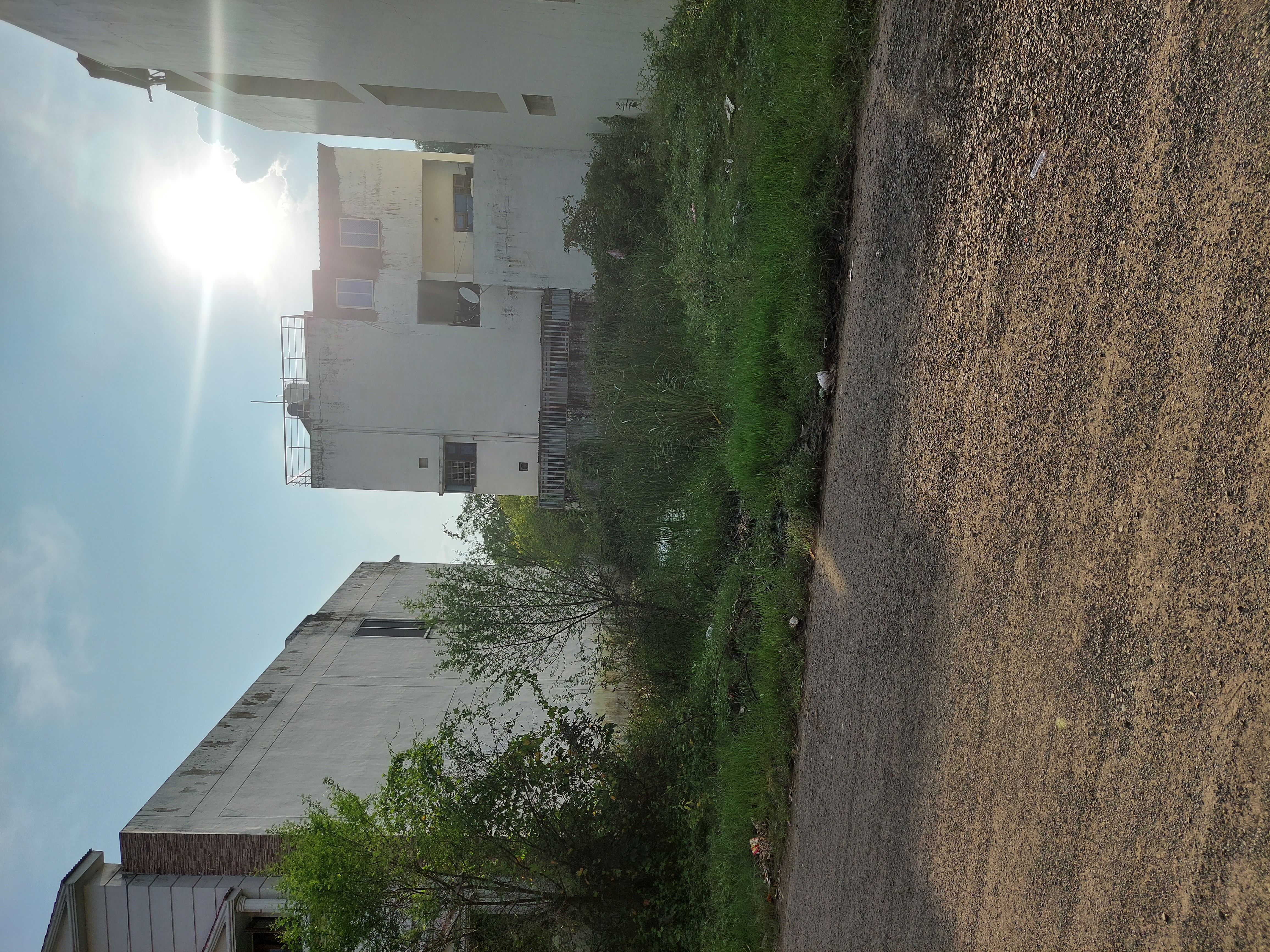 Plot For Resale in Danish Nagar Bhopal  6147473