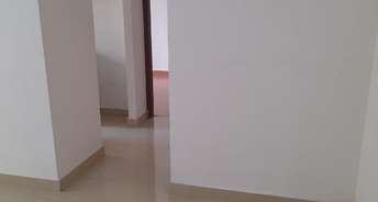 1 BHK Apartment For Rent in DB Realty Orchid Ozone Dahisar East Mumbai 6147880