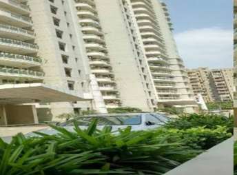3 BHK Apartment For Rent in DLF The Ultima Sector 81 Gurgaon 6147868