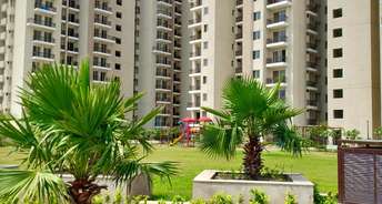 2 BHK Apartment For Resale in Chawla Colony Ballabgarh Faridabad 6148182