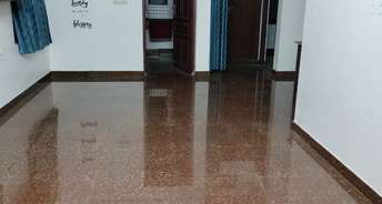 3 BHK Builder Floor For Rent in Cheranallur Kochi 6148422