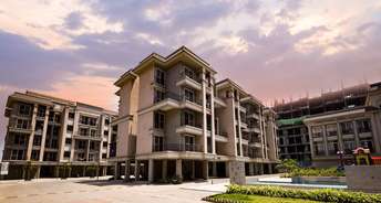 1 BHK Apartment For Resale in Future Pride Kharghar Navi Mumbai 6148565