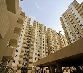 2 BHK Apartment For Rent in Tulip Lemon Sector 69 Gurgaon 6148794