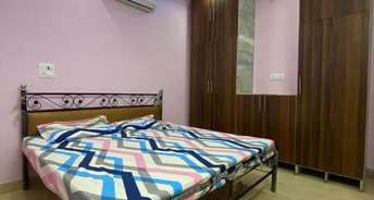 1 BHK Builder Floor For Rent in Rohini Sector 6 Delhi 6148362