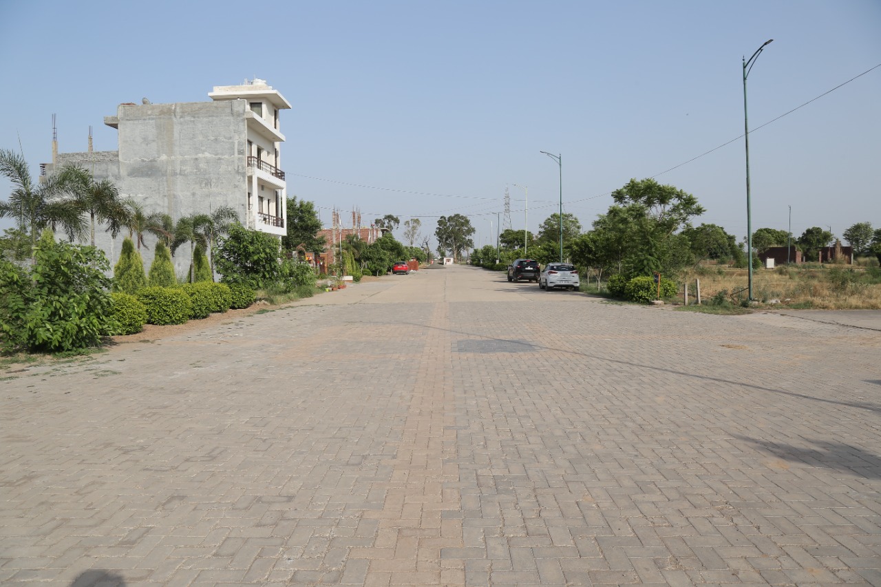 Plot For Resale in Aerocity Chandigarh  6148985