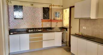 2 BHK Apartment For Rent in Vaishnodevi Circle Ahmedabad 6148980