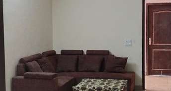 2 BHK Apartment For Rent in LR Bluemoon Homes Raj Nagar Extension Ghaziabad 6149243