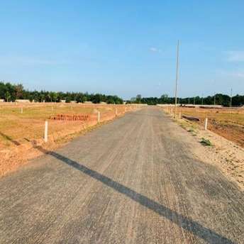  Plot For Resale in Kendrapada Canal Cuttack 5925699