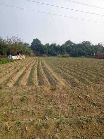 Commercial Land 1000 Sq.Ft. For Resale In Iim Road Lucknow 6149866
