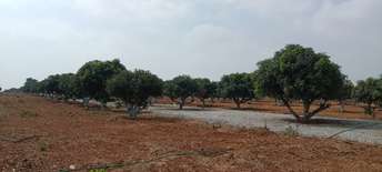  Plot For Resale in Attapur Hyderabad 6150511