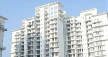 3 BHK Apartment For Rent in White Lily Residency Sonipat Road Sonipat 6150780