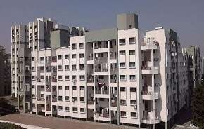 2 BHK Apartment For Rent in Magarpatta Grevillea Hadapsar Pune 6150894