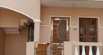 3.5 BHK Villa For Rent in Amrapali Leisure Valley Noida Ext Tech Zone 4 Greater Noida 6151084