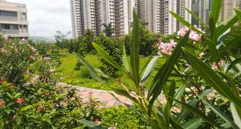 1 BHK Apartment For Rent in Mhada Complex Virar Virar West Mumbai 6151159