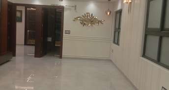 2 BHK Apartment For Rent in Ashiana The Heritage Vaishali Sector 3 Ghaziabad 6151218