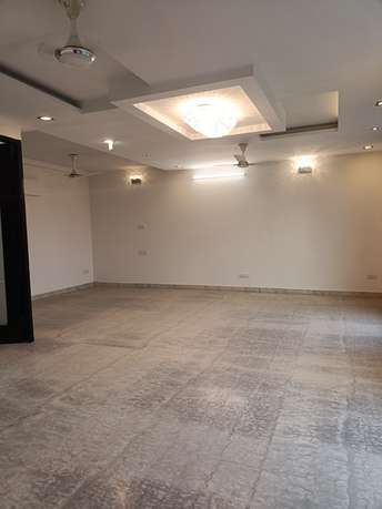 3 BHK Builder Floor For Rent in RWA Anand Vihar Anand Vihar Delhi 6151724