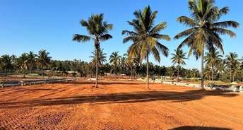  Plot For Resale in Bagalur rd Bangalore 6151734