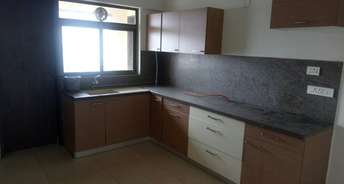 1 BHK Apartment For Rent in Konark Krish Mundhwa Pune 6151818