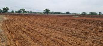  Plot For Resale in Bachupally Hyderabad 6152123