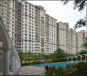 3 BHK Apartment For Rent in DLF The Belvedere Park Sector 24 Gurgaon 6152341