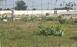 Commercial Industrial Plot 532 Sq.Yd. For Resale In G T Road Karnal 6153080