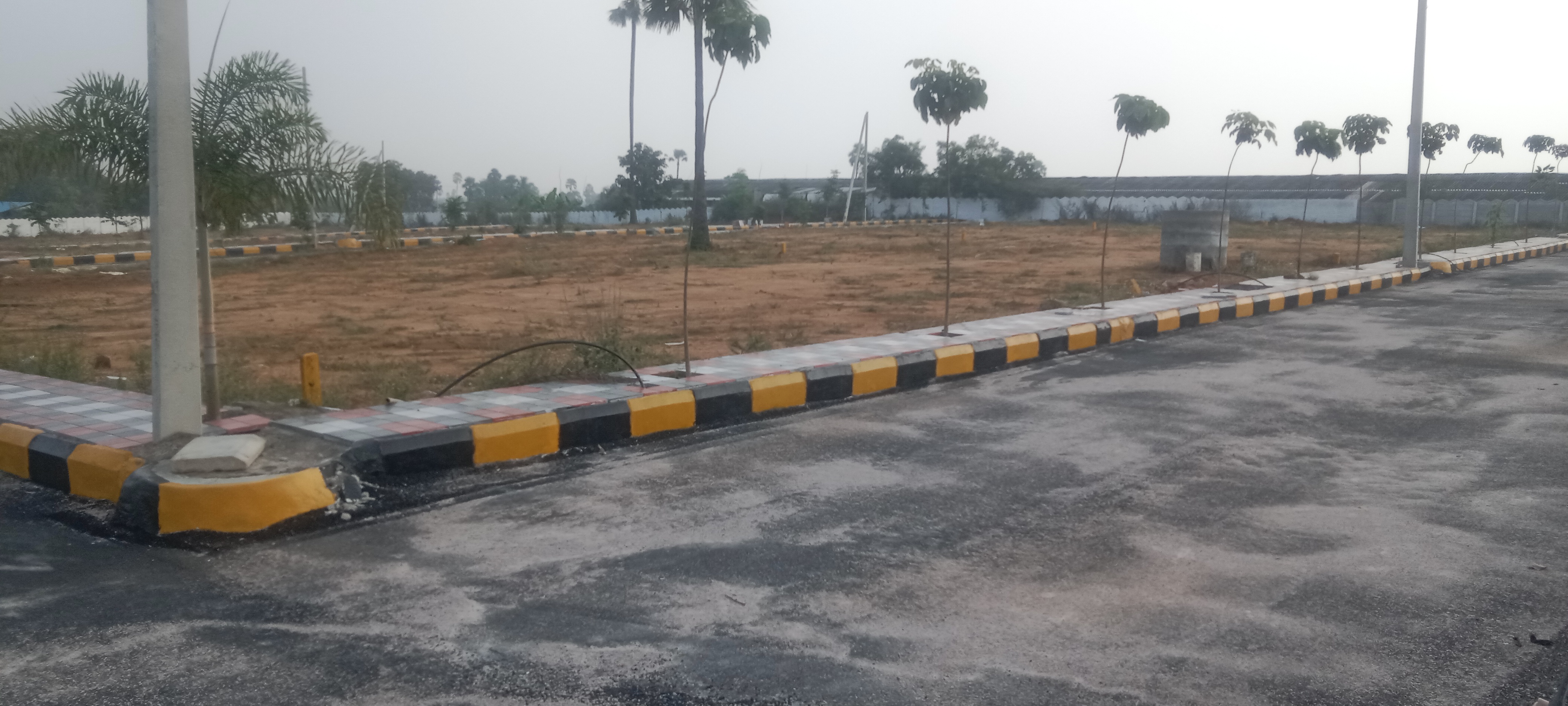 Plot For Resale in R K Puram Hyderabad  6153577